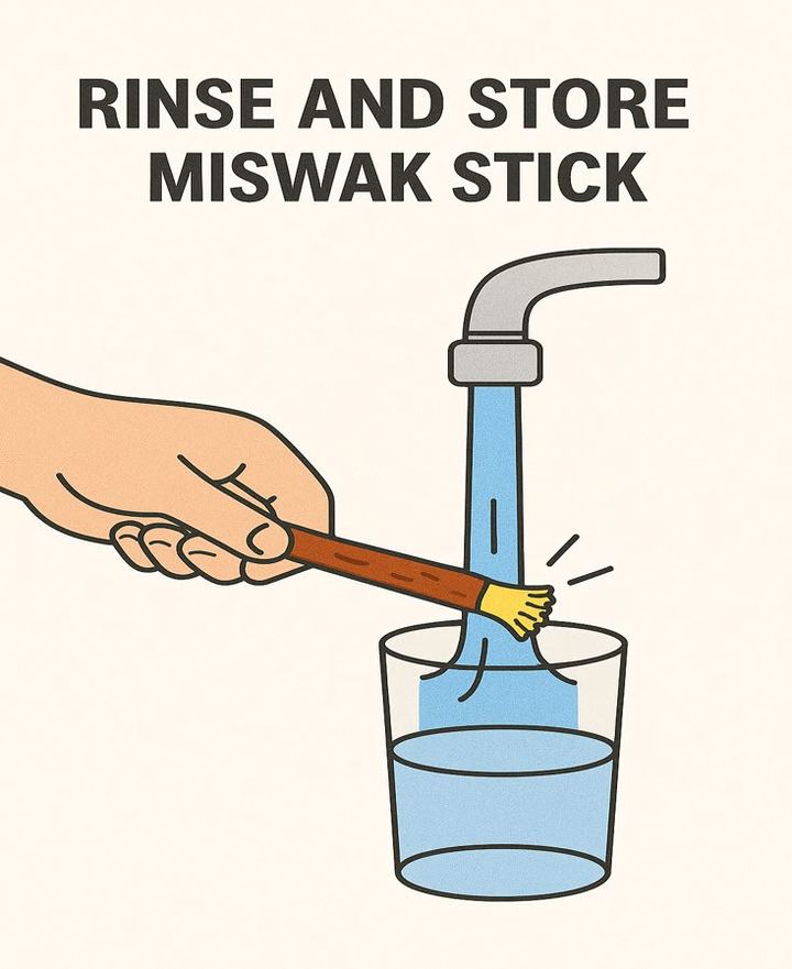 Rinse and store the Miswak stick to keep it clean and fresh