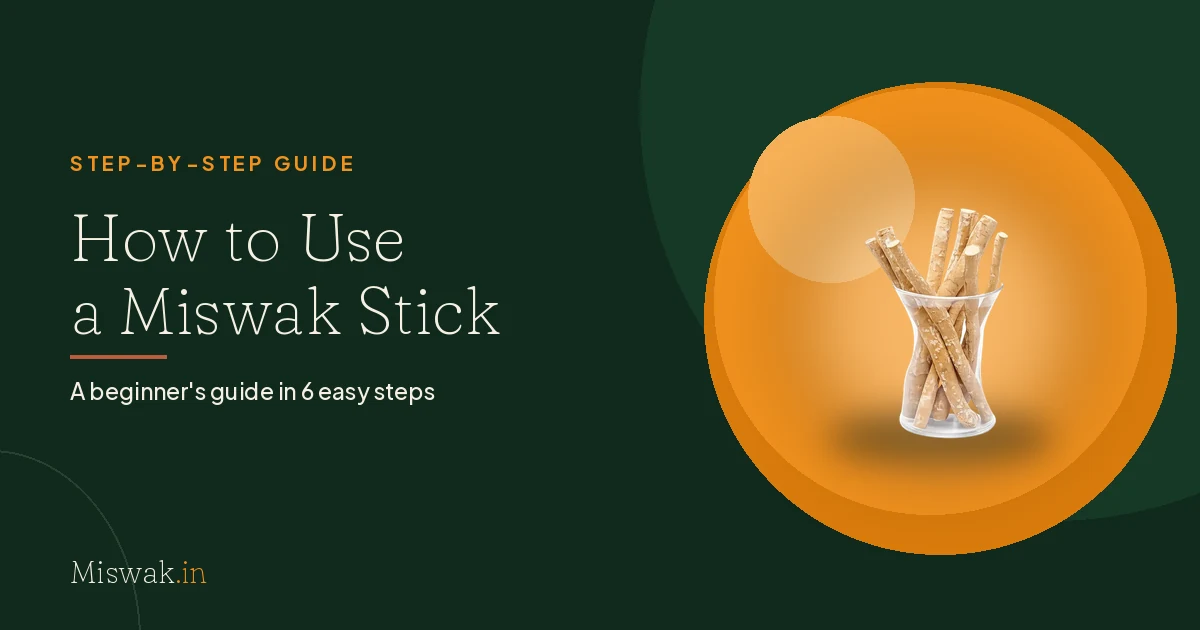 How to Use a Miswak Stick: Step-by-Step Guide for Beginners