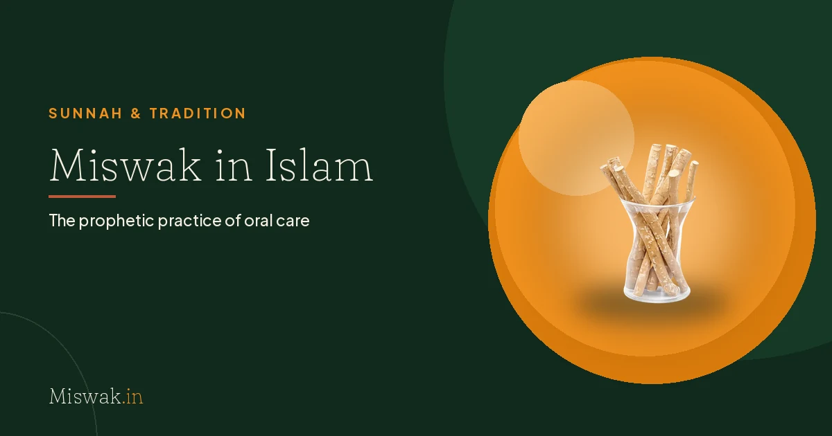 Miswak in Islam: Sunnah, Hadith & How to Use It