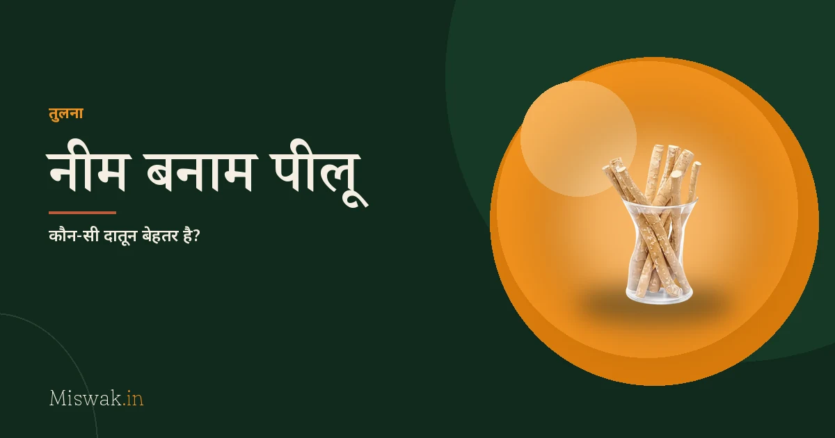 नीम बनाम पीलू दातून: कौन-सी बेहतर है?