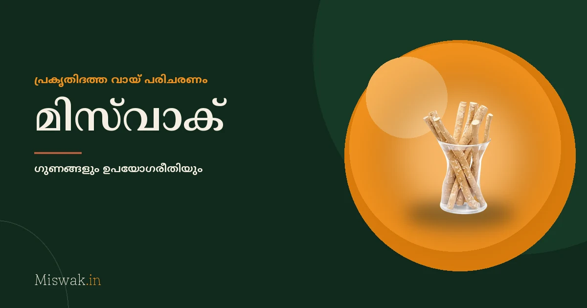 മിസ്‌വാക്കിന്റെ ഗുണങ്ങളും ഉപയോഗിക്കുന്ന രീതിയും