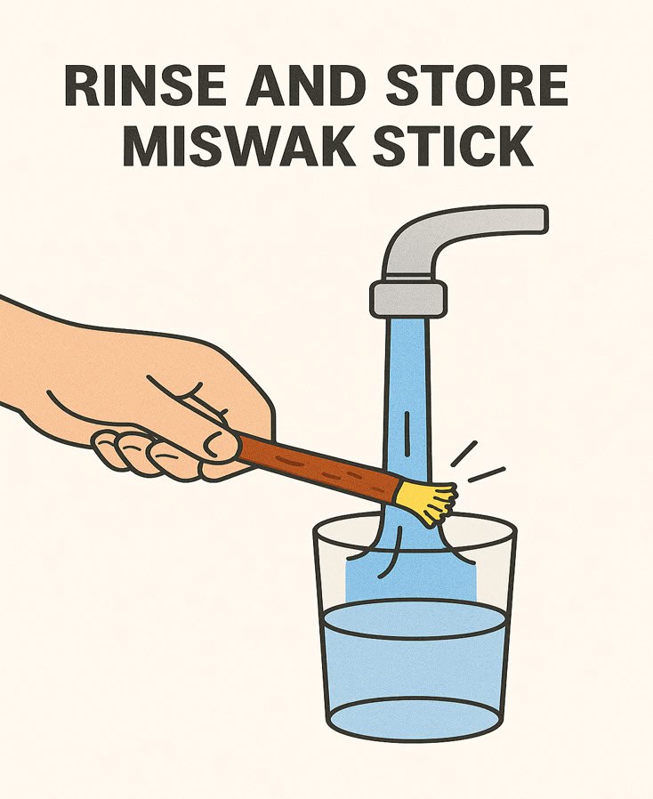 how to use miswak 3