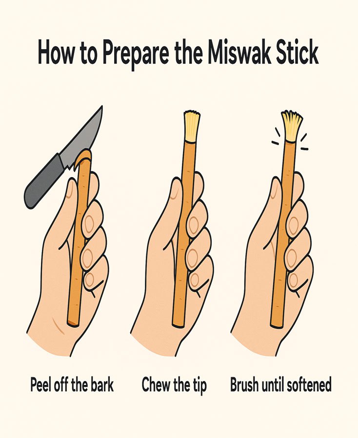 how to use miswak